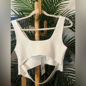 Zara Crop Top Nwt